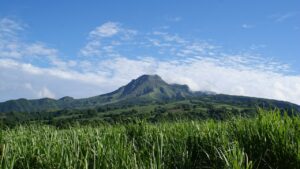 Geko Hotellerie La Martinique, un paradis sur terre...